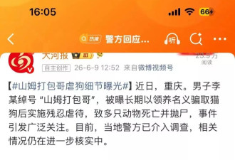 当施暴者不用付出代价 一个社会究竟在纵容什么？
