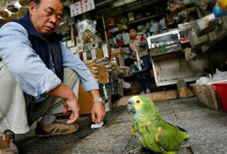 传说中的“亚洲蹲”，竟对我们的健康至关重要？
