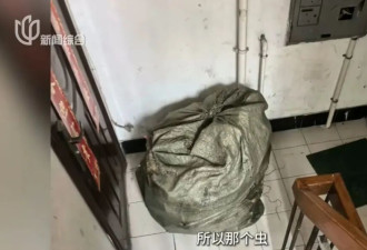母女租120m?房子养十几只流浪狗！房东崩溃