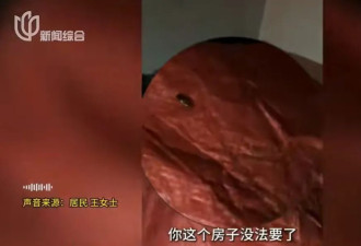 母女租120m?房子养十几只流浪狗！房东崩溃