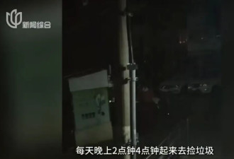 母女租120m?房子养十几只流浪狗！房东崩溃
