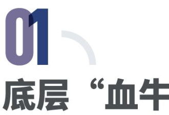 倒卖救命血，血荒催生的地下黑市