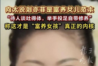 向太曝刘亦菲陈金飞真实关系：成也干爹败也干爹