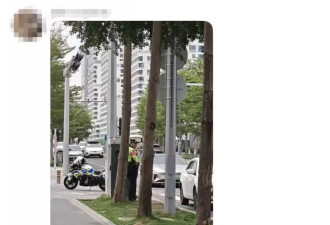 “卧底”深圳电单车车主报点群：躲执法的“猫鼠游戏”如何破