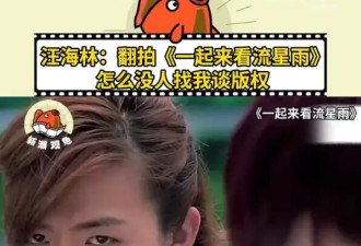 汪海林质疑《流星雨》翻拍版权问题：没有人联系我