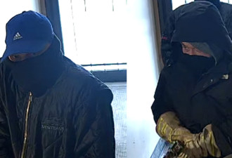 价值30万的190枚金戒指被洗劫一空!温尼伯珠宝店主求助寻找劫匪!