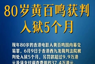 黄百鸣被判入狱5个月 甄子丹的《叶问5》何去何从？