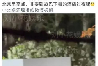 迪丽热巴陈飞宇传恋爱一年半 女方曾与黄景瑜传绯闻