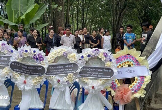 女童“小葡萄”火化：500人哀悼，父亲泪别
