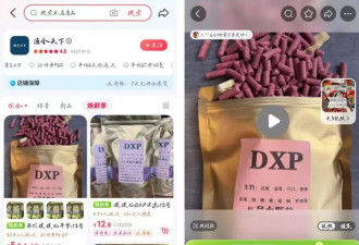 催眠的鱼饵：非法“地西泮”饵料产销链调查