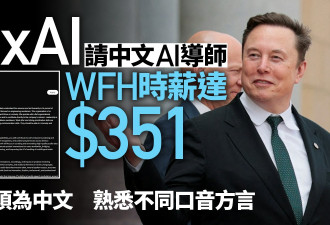 Elon Musk征“中文AI导师”母语为汉语精通方言