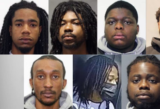 多伦多枪击案28男子当场死亡：7名嫌犯被捕控二级谋杀
