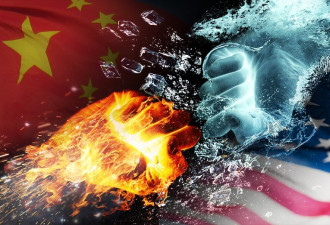 出生率暴跌之后，一个惊人的真相浮出水面