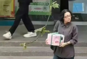 刘浩存终成张艺谋“审美”最后的倔强，张艺谋，回不去了