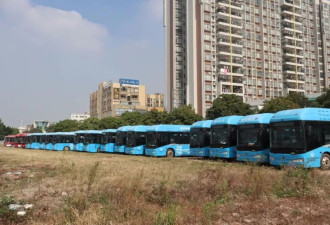 停运、骗补与逆势狂奔：氢能公交的荒诞经济学