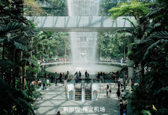 去了一趟新加坡，结论是完全不宜居