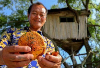 捡140斤太岁一夜暴富 如今他的生活鸡飞蛋打