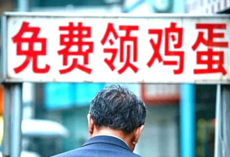 又一场鸡蛋骗局! 几千万的养老钱 全都打了水漂