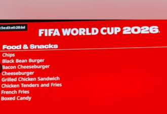 多伦多 BMO 体育场两根热狗一杯饮料要 $57.5，美国同类仅几美元
