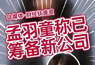 离开董明珠3年后孟羽童真实现状曝光 如今...