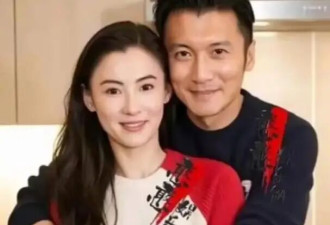 张柏芝三儿子颜值彻底出圈！8岁长相独特，帅气气质不输两位哥哥