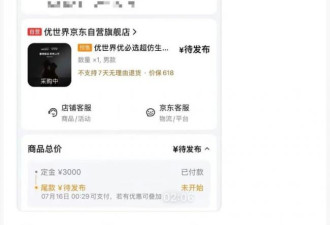 10天狂卖3800台 京东预售“机器人伴侣”爆火