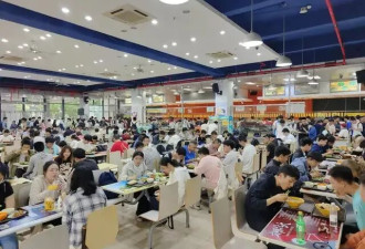 大学生被滥用的情怀，正沦为黑作坊的挡箭牌