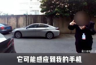 特斯拉后备箱30万现金消失！女车主：可能是...