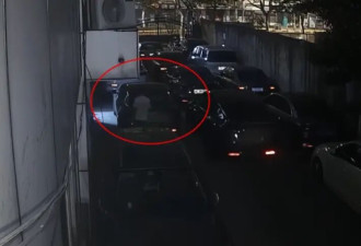 特斯拉后备箱30万现金消失！女车主：可能是...