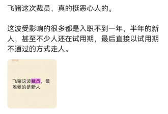 曝阿里飞猪将大面积裁员，人数或超50%