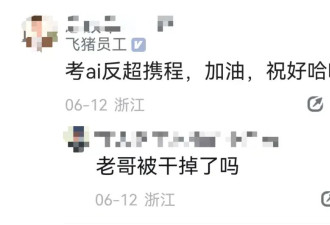 曝阿里飞猪将大面积裁员，人数或超50%
