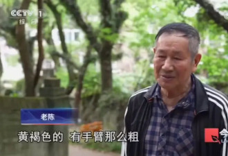 毛骨悚然！独居男子在小区里养300多条蟒蛇