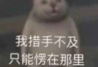 离婚四年又被传复婚生二胎?真是替她操碎了心