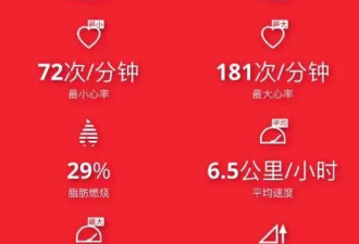 世界杯赛场上的中国裁判：对话“卡牌大师”马宁