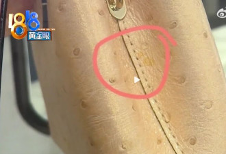 江苏美女"9万LV维权遭拒"事件:有钱人也这么憋屈?