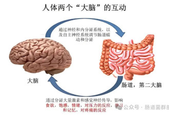 科学家终于找到人体情绪总开关