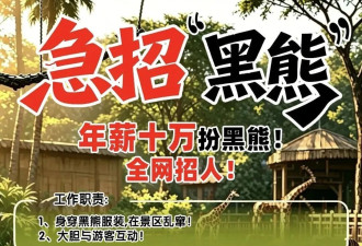 动物园年薪10万急招人扮黑熊,在岗期间不能说人话