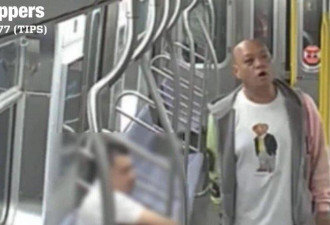 纽约R车惊传男子持利器恐吓乘客 警悬赏缉凶