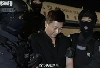 被公安部从柬埔寨抓回来的刘忍 是什么来头?