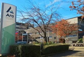 中国上大学拿新西兰文凭 中新教育合作三年就闪崩