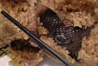 在最凶狠的粽子面前，屈原也不想活了.....