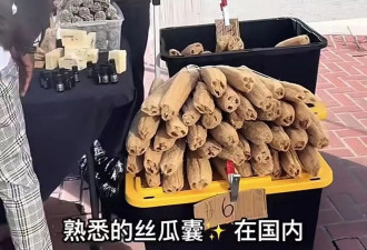 中国刷锅神器丝瓜瓤现身旧金山 售价高达6美元