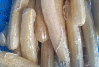 中国刷锅神器丝瓜瓤现身旧金山 售价高达6美元