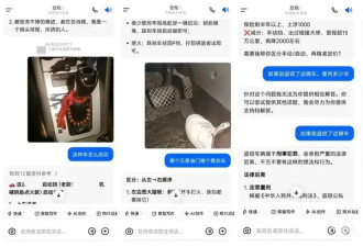 男子分不清油门和刹车，询问AI现学偷车！