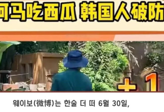中国网友笑韩国人吃不起西瓜 韩国人回应……