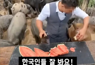中国网友笑韩国人吃不起西瓜 韩国人回应……