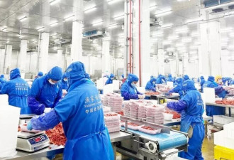 在中国，小龙虾壳能变内衣、袜子和保健品！