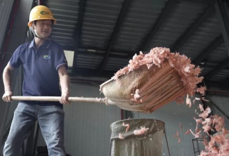 在中国，小龙虾壳能变内衣、袜子和保健品！