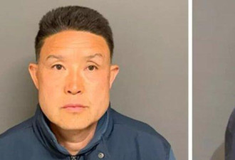 难以置信地残忍 美华人致11犬死亡 下场惨了…