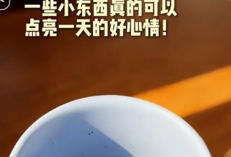 她被传私生活混乱、被央视开除、陪睡上位？